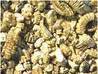 Vermiculite